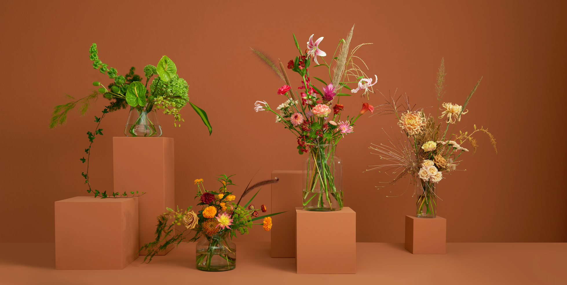 Bloomon - Leaders in Finance